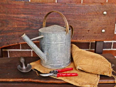 The secret to pruning  is having proper tools